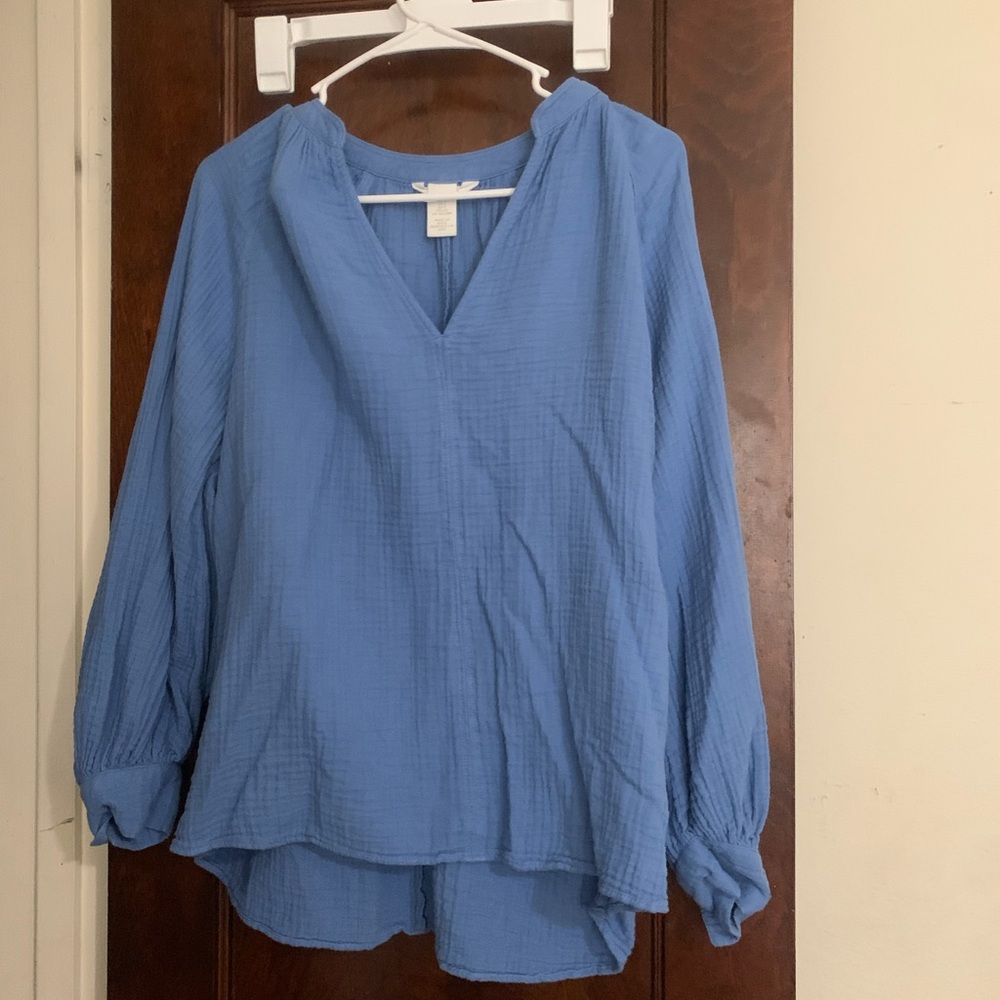 Blue Blouse